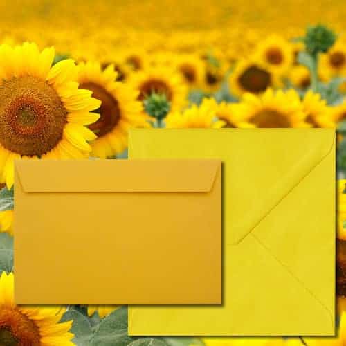 Yellow Envelopes