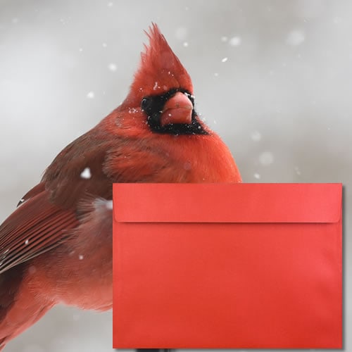 Cardinal Red Pearl Envelopes