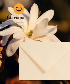 Magnolia Envelopes
