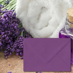 Plum Purple Envelopes