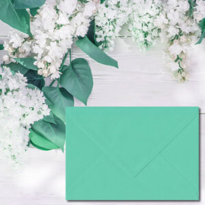 Warbler Green Colour Envelopes