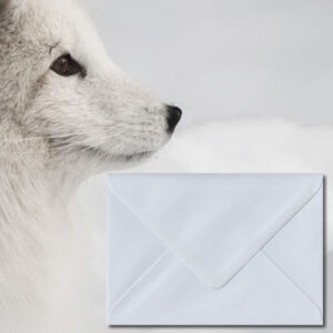White 130gsm Envelopes