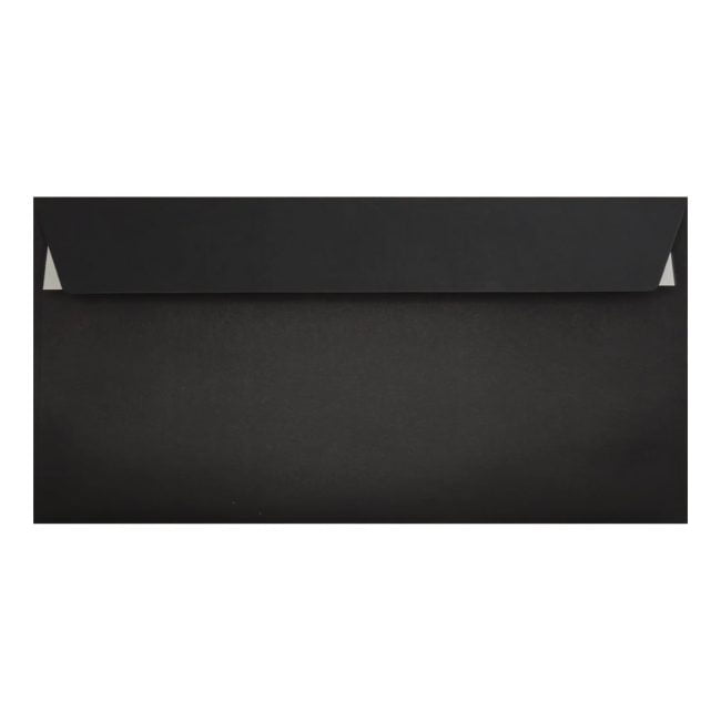 Clariana Black Envelope Dl Wallet Closed