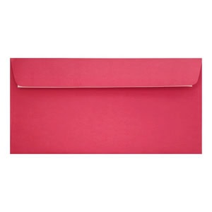 Clariana Bright Pink Envelope Dl Wallet Closed
