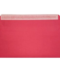 Clariana Bright Pink Envelope Dl Wallet Open