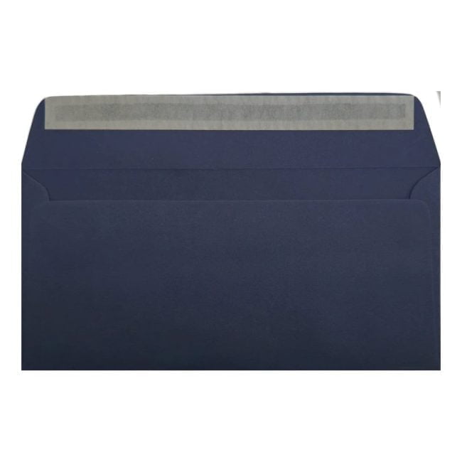 Clariana Dark Blue Envelope Dl Wallet Open