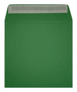 Clariana Dark Green Envelope 155mm Square Wallet Open