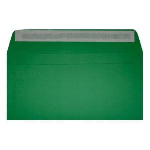 Clariana Dark Green Envelope Dl Wallet Open