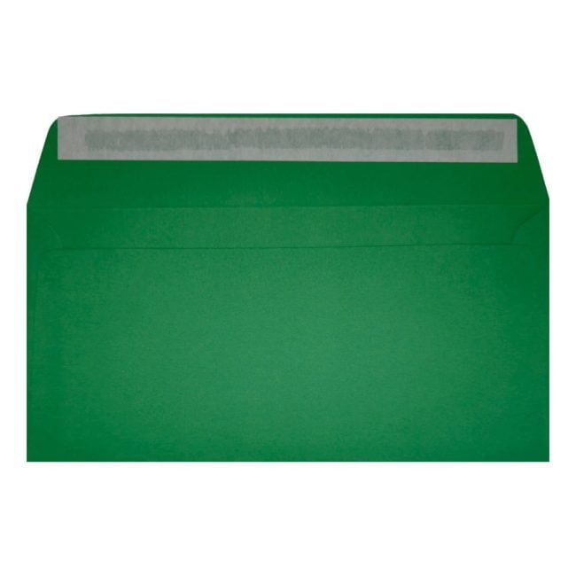 Clariana Dark Green Envelope Dl Wallet Open