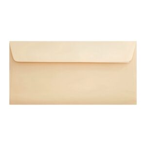 Clariana Magnolia Envelope Dl Wallet Ratio