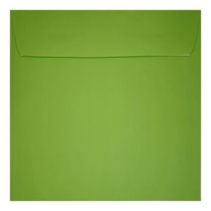 Clariana Mid Green Envelope 155mm Square Wallet Closed