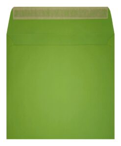 Clariana Mid Green Envelope 155mm Square Wallet Open