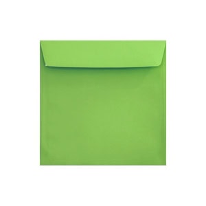 Clariana Mid Green Envelope 155mm Square Wallet Ratio