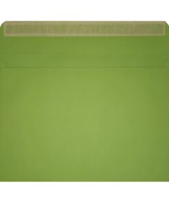 Clariana Mid Green Envelope C5 Wallet Open