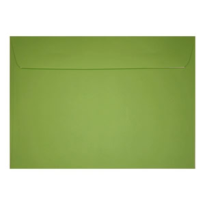 Clariana Mid Green Envelope C6 Wallet Closed