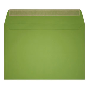 Clariana Mid Green Envelope C6 Wallet Open