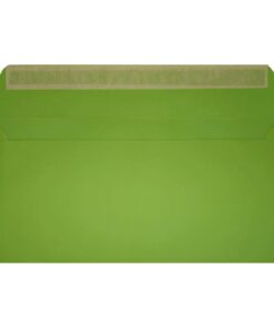 Clariana Mid Green Envelope Dl Wallet Open