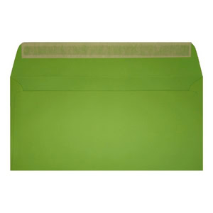 Clariana Mid Green Envelope Dl Wallet Open