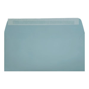 Clariana Pale Blue Envelope Dl Wallet Open