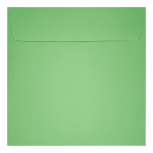 Clariana Pale Green Envelope 155mm Square Wallet Closed