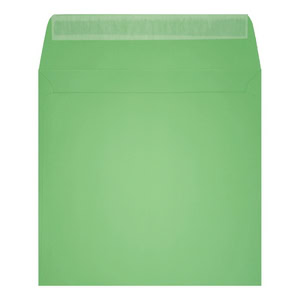 Clariana Pale Green Envelope 155mm Square Wallet Open
