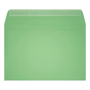 Clariana Pale Green Envelope C6 Wallet Open