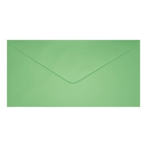 Clariana Pale Green Envelope Dl Closed