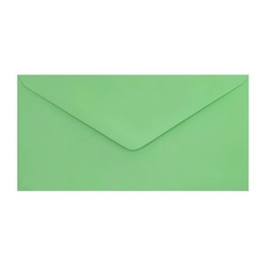 Clariana Pale Green Envelope Dl Ratio