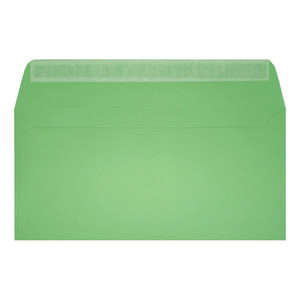 Clariana Pale Green Envelope Dl Wallet Open