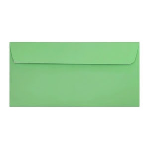 Clariana Pale Green Envelope Dl Wallet Ratio