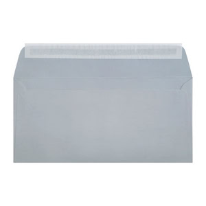 Clariana Pale Grey Envelope Dl Wallet Ratio