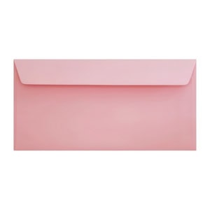 Clariana Pale Pink Envelope Dl Wallet Ratio