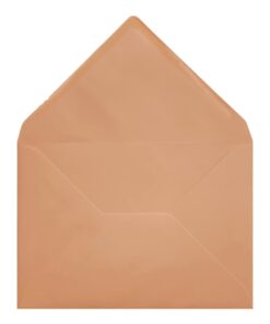 Clariana Pale Salmon Envelope B6 Open