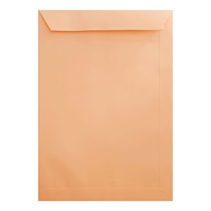 Clariana Pale Salmon Envelope C4 Pocket Closed