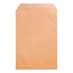 Clariana Pale Salmon Envelope C4 Pocket Open