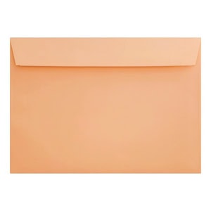 Clariana Pale Salmon Envelope C5 Wallet Closed