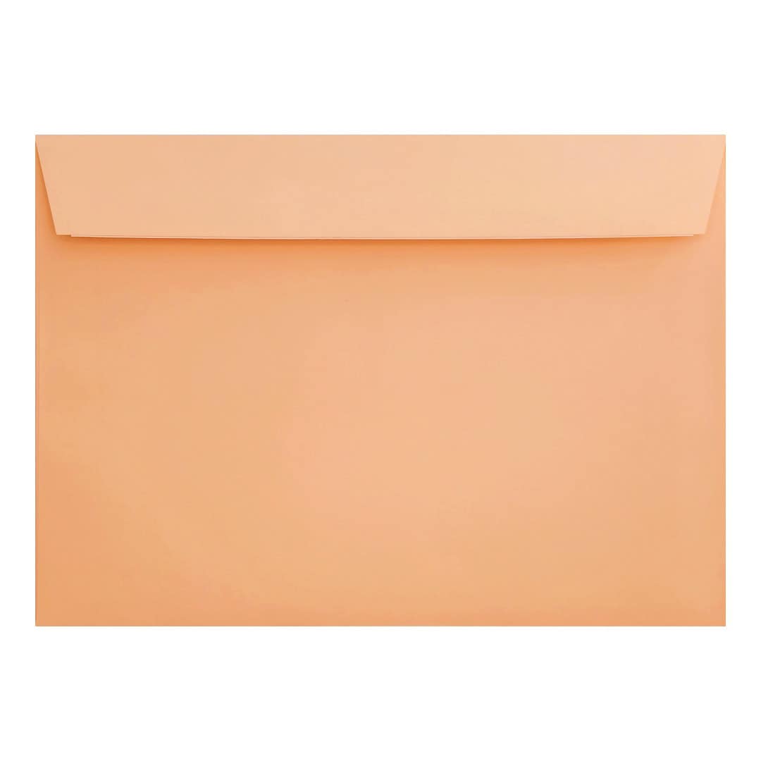 Clariana Pale Salmon Envelope C5 Wallet Closed