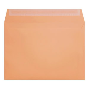 Clariana Pale Salmon Envelope C5 Wallet Open