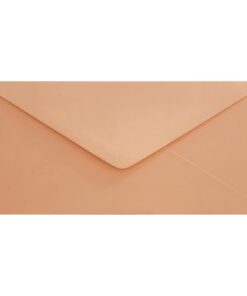 Clariana Pale Salmon Envelope Dl Closed