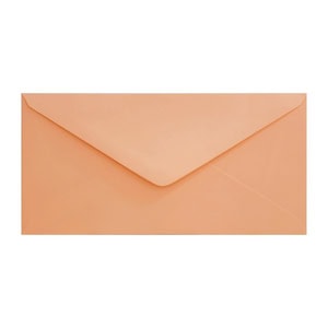 Clariana Pale Salmon Envelope Dl Ratio