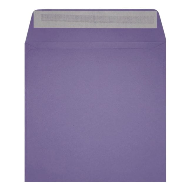 Clariana Purple Envelope 155mm Square Wallet Open
