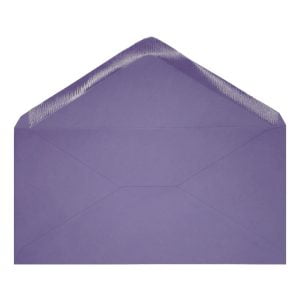 Clariana Purple Envelope Dl Open