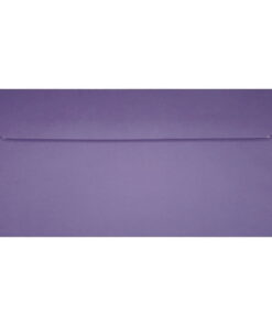 Clariana Purple Envelope Dl Wallet Closed