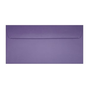 Clariana Purple Envelope Dl Wallet Ratio