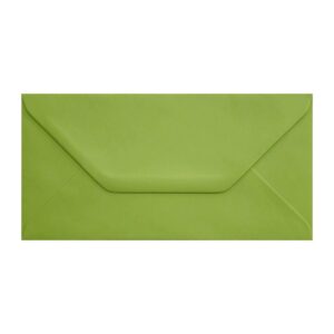 Lime Green Envelope Dl Ratio