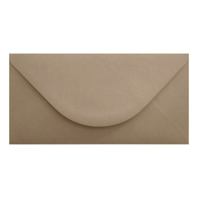 Shitake Envelope Dl Closed