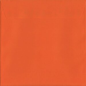 S2 ORNGE EBB