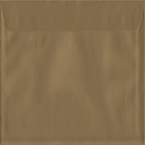S3 Golmt Ebb Envelope
