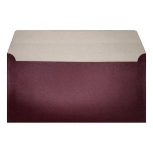 Aubergine Pearl Envelope Dl Open