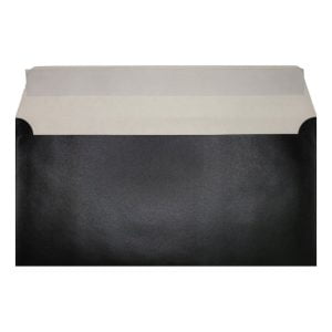 Slate Black Pearl Envelope Dl Open